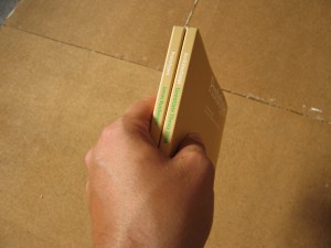 Picture 134 Folding it 3