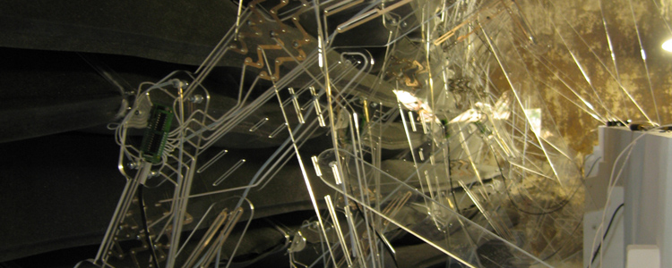 splinegraft3